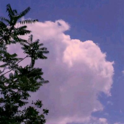 AG百家家乐app手机app下载